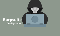 Featured image of post Day 11 Easy Burpsuite Configuration With External Browser