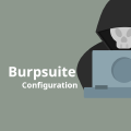 Day 11 Easy Burpsuite Configuration With External Browser