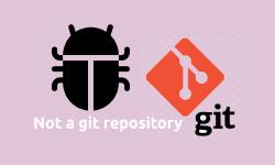 Featured image of post Solved Fatal Not a Git Repository or Any of the Parent Directories
