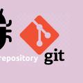 Solved Fatal Not a Git Repository or Any of the Parent Directories